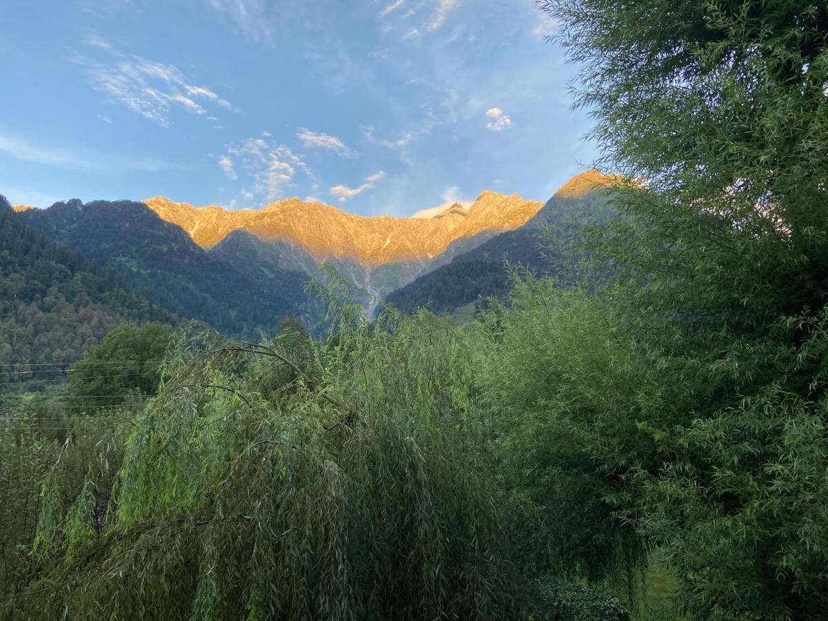 Solang Valley Resort Manali  Bagian luar foto