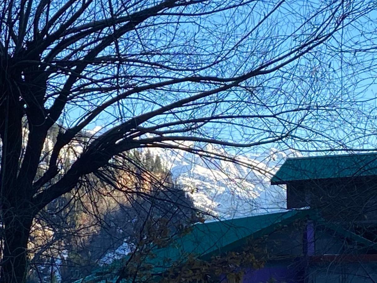 Solang Valley Resort Manali  Bagian luar foto