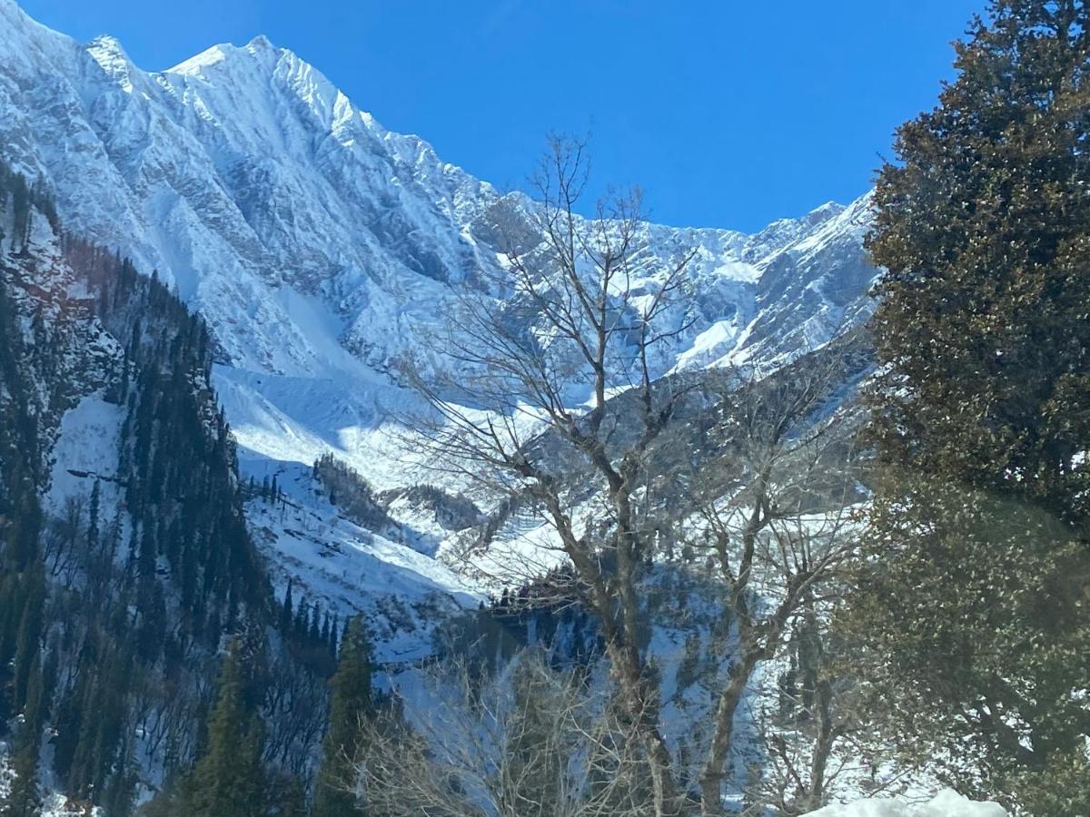 Solang Valley Resort Manali  Bagian luar foto