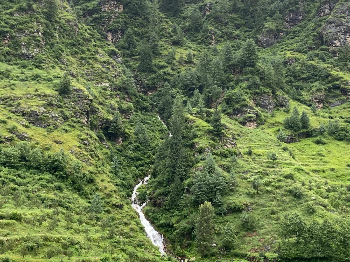 Solang Valley Resort Manali  Bagian luar foto