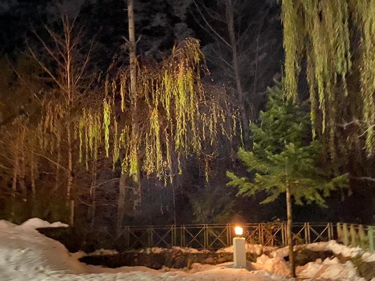 Solang Valley Resort Manali  Bagian luar foto