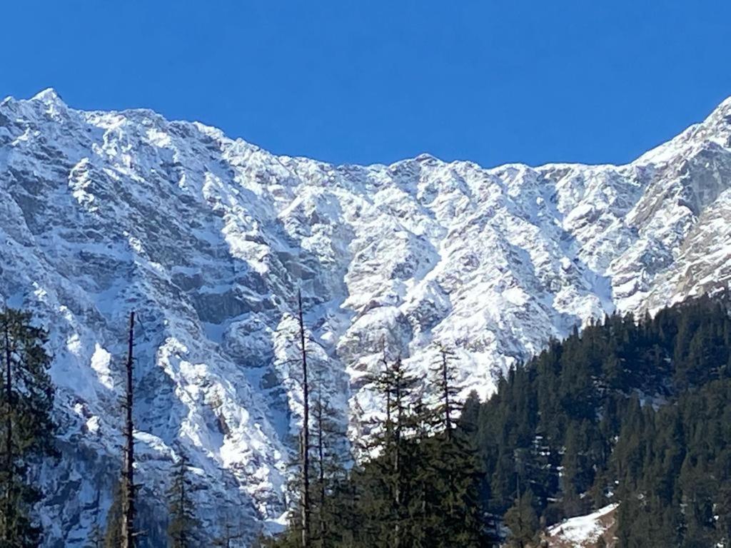Solang Valley Resort Manali  Bagian luar foto