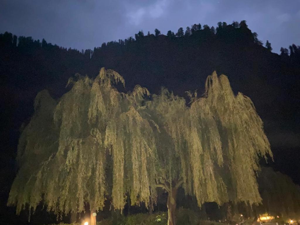 Solang Valley Resort Manali  Bagian luar foto