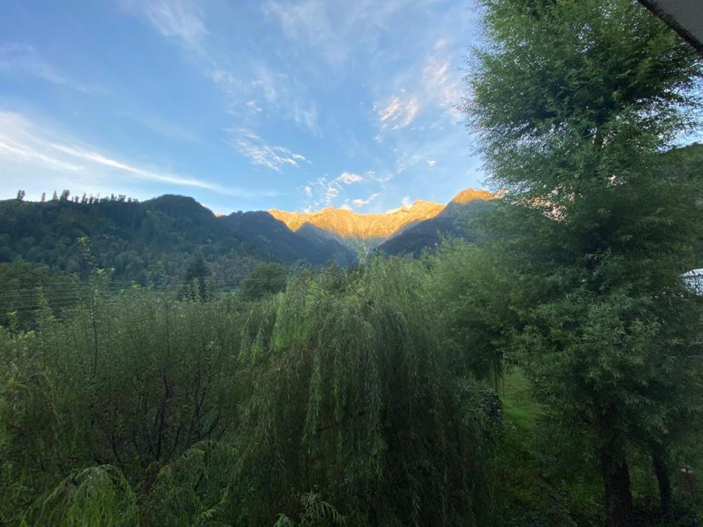 Solang Valley Resort Manali  Bagian luar foto